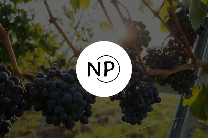 ვაინგარდი